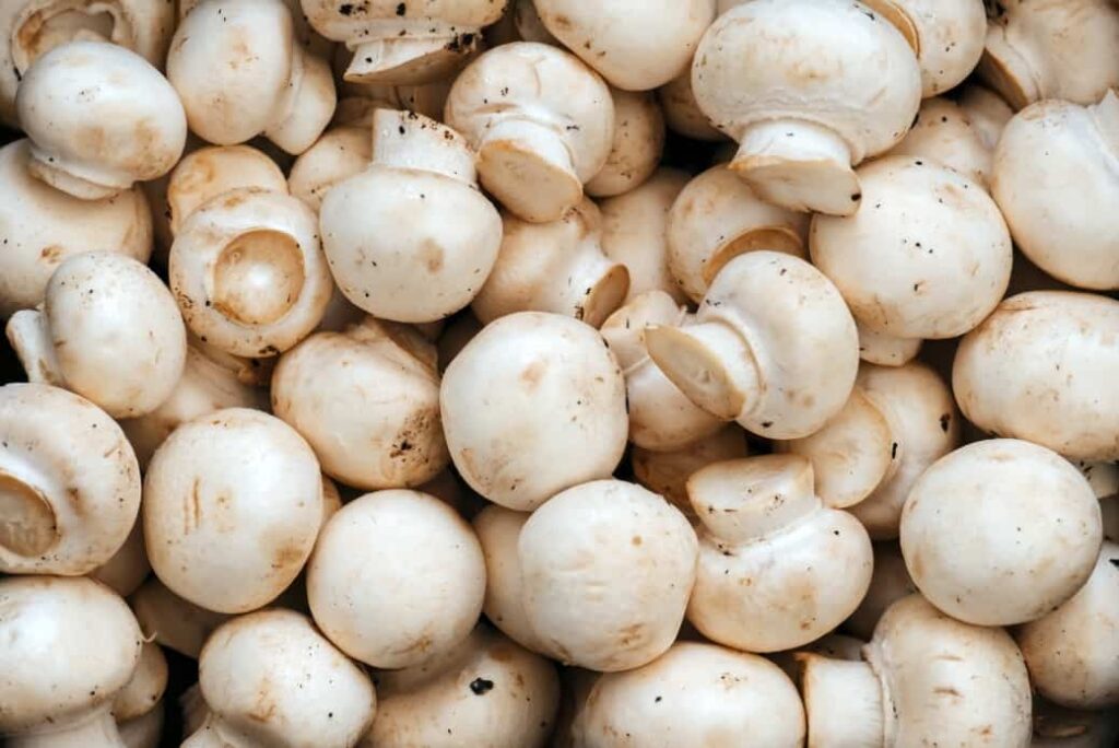 Button Mushrooms