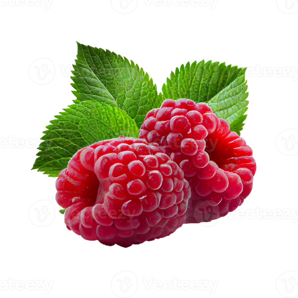 Raspberries